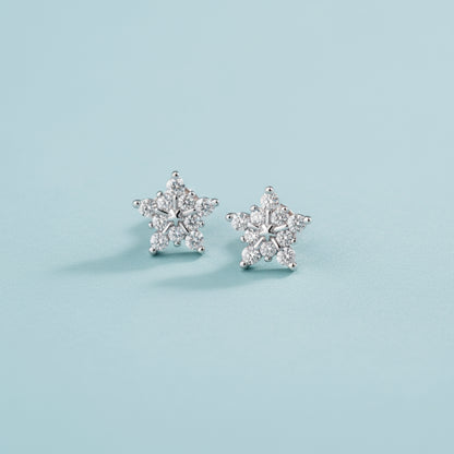 Boucles d'oreilles Flocon de neige